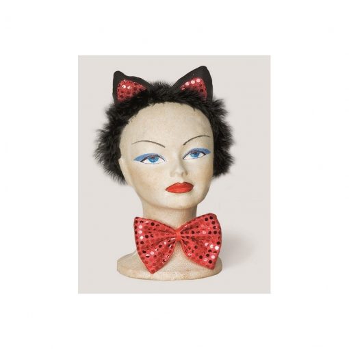 Set Pisica Sexy – Accesorii Costumatii –