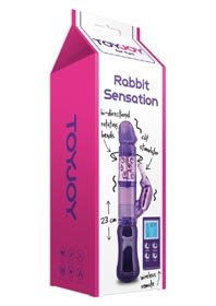 Vibrator cu stimulare clitoridiana Rabbit Sensation - Vibratoare de Lux -